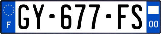 GY-677-FS