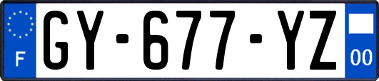 GY-677-YZ