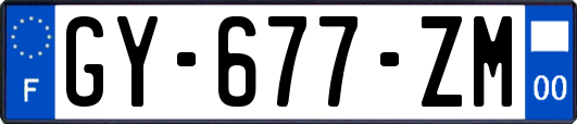 GY-677-ZM