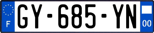 GY-685-YN