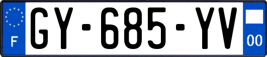 GY-685-YV