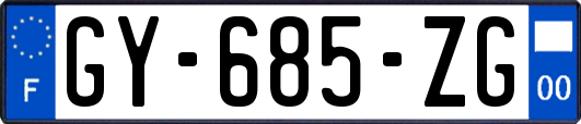GY-685-ZG