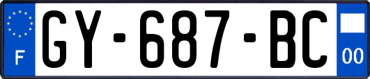 GY-687-BC