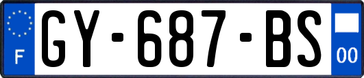 GY-687-BS
