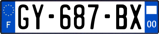 GY-687-BX