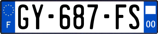 GY-687-FS