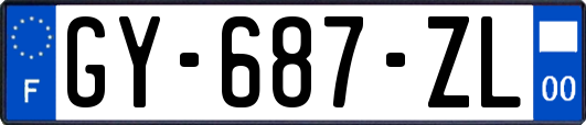 GY-687-ZL