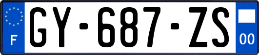 GY-687-ZS