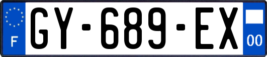GY-689-EX