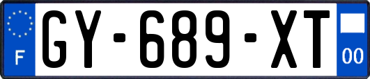 GY-689-XT