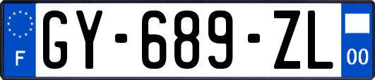 GY-689-ZL