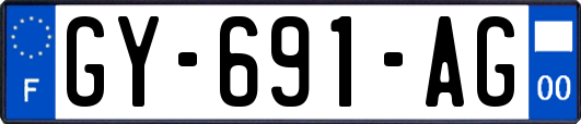 GY-691-AG