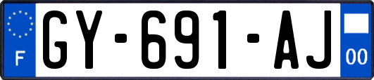 GY-691-AJ