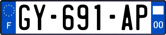 GY-691-AP