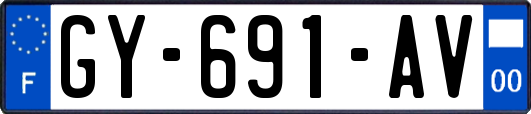 GY-691-AV