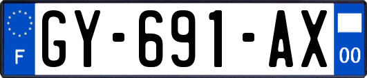GY-691-AX