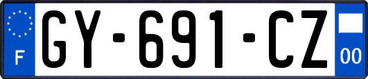 GY-691-CZ