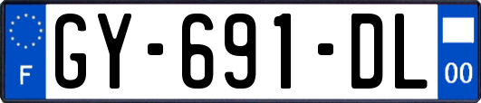 GY-691-DL