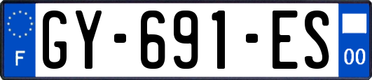GY-691-ES