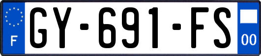 GY-691-FS