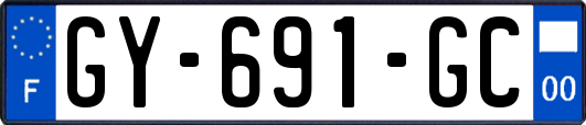 GY-691-GC