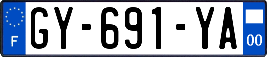 GY-691-YA