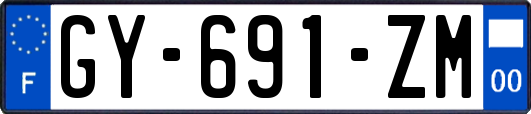 GY-691-ZM