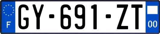 GY-691-ZT