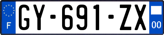 GY-691-ZX