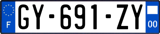 GY-691-ZY