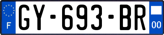GY-693-BR