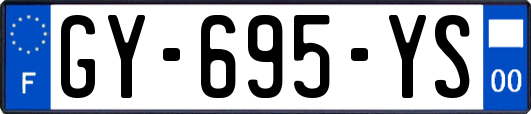 GY-695-YS