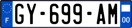 GY-699-AM