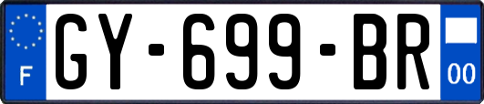 GY-699-BR