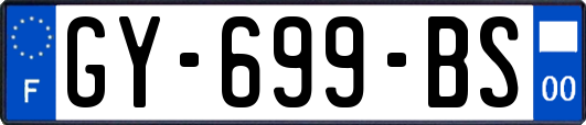 GY-699-BS