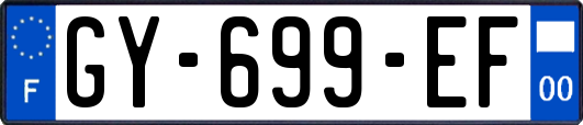 GY-699-EF