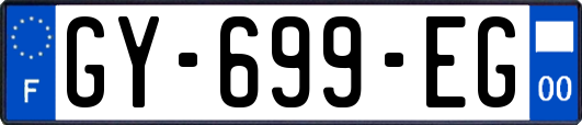 GY-699-EG