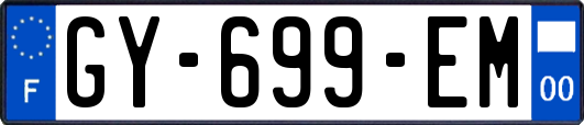 GY-699-EM