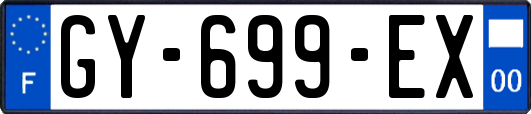 GY-699-EX