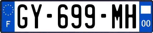 GY-699-MH