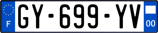 GY-699-YV