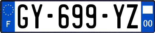 GY-699-YZ