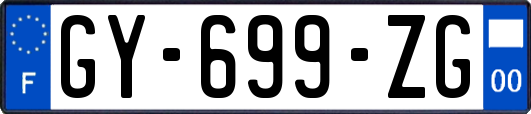 GY-699-ZG