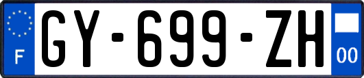 GY-699-ZH