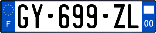GY-699-ZL