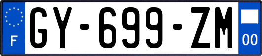 GY-699-ZM