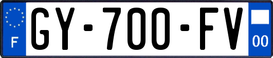 GY-700-FV
