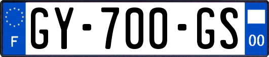 GY-700-GS