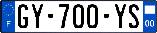 GY-700-YS