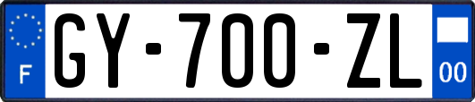 GY-700-ZL